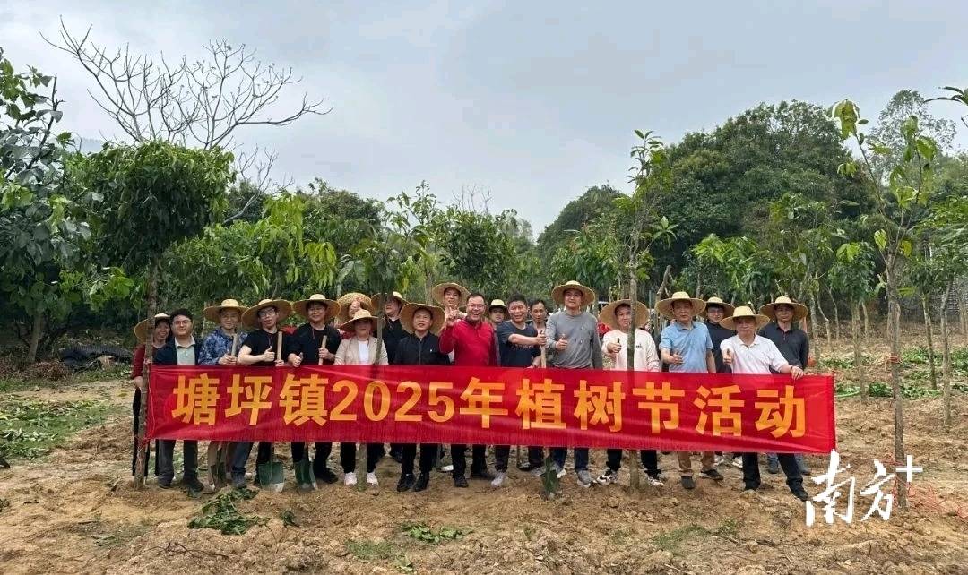 塘坪鎮(zhèn)全面推進鄉(xiāng)村綠化，共繪生態(tài)和諧“村光”:光繪機