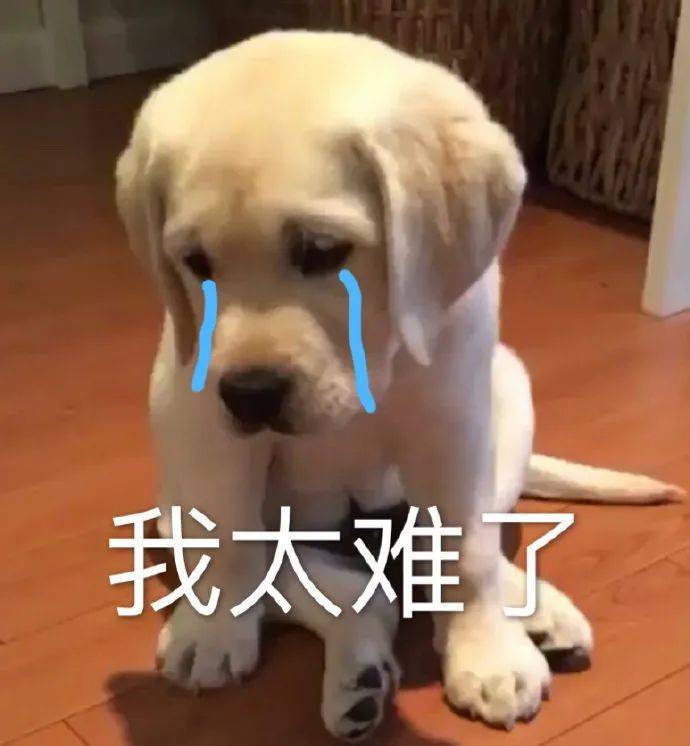 讓吹風(fēng)機打“黑工”<strong></p>
<p>光繪機</strong>，小心你家被燒光！:光繪機